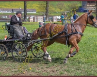 2POSIEUX 0154